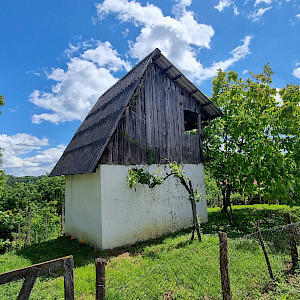 ZABOK Martinišće, vinograd na mirnoj lokaciji + klet