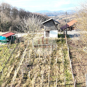 ZABOK Martinišće, vinograd na mirnoj lokaciji + klet