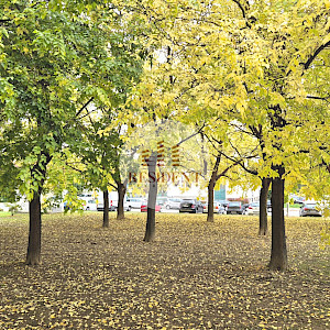 PREČKO Ugodan 2soban stan 46 m2, mirno okruženje, BEZ PROVIZIJE