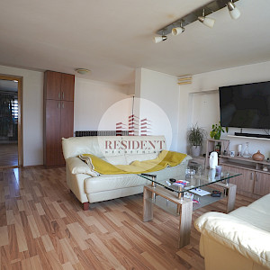 SELNICA ŠĆITARJEVSKA dvije kuće + pomoćni objekti, zemljište 4850 m2