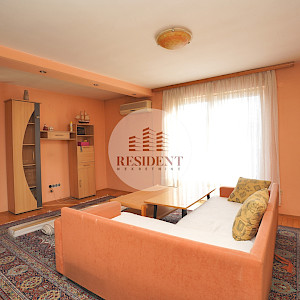 SELNICA ŠĆITARJEVSKA dvije kuće + pomoćni objekti, zemljište 4850 m2