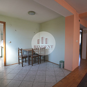 SELNICA ŠĆITARJEVSKA dvije kuće + pomoćni objekti, zemljište 4850 m2