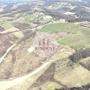 SVETI KRIŽ ZACRETJE Building site + vineyard, land 60,000 m2, top location, NO COMMISSION